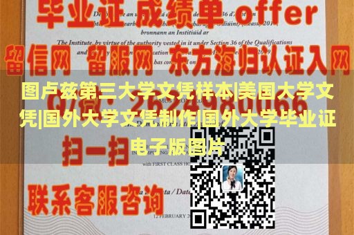 图卢兹第三大学文凭样本|美国大学文凭|国外大学文凭制作|国外大学毕业证电子版图片