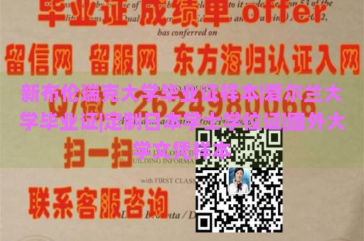 新布伦瑞克大学毕业证样本|爱尔兰大学毕业证|定制日本学士学位证|国外大学文凭样本