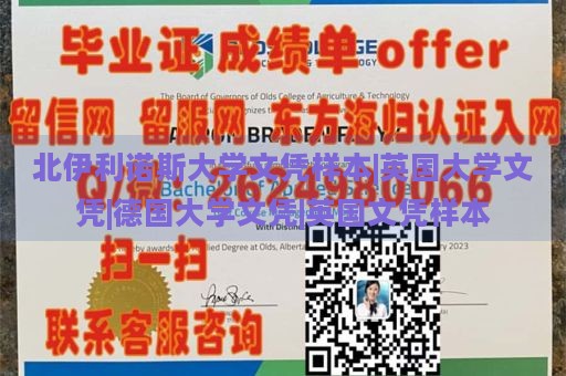 北伊利诺斯大学文凭样本|英国大学文凭|德国大学文凭|英国文凭样本