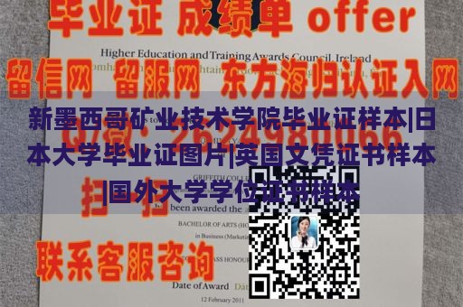 新墨西哥矿业技术学院毕业证样本|日本大学毕业证图片|英国文凭证书样本|国外大学学位证书样本