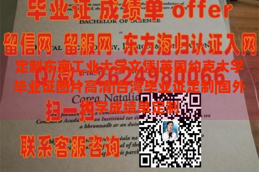 定制东京工业大学文凭|英国约克大学毕业证图片高清|台湾毕业证定制|国外大学成绩单定制